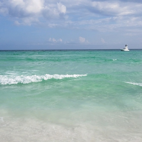 Meet your Posher, Audrey - Picture 1 of 1